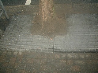 掃除風景