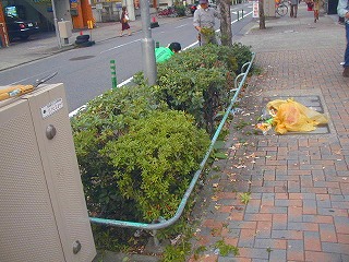 掃除風景