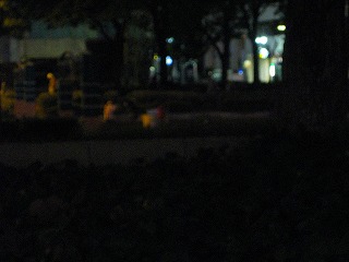 掃除風景