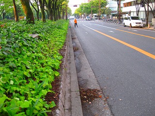 掃除風景