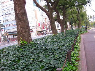 掃除風景