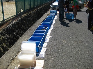 掃除実践